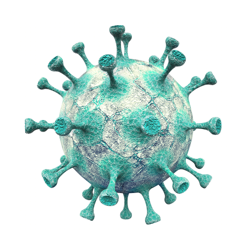Forum pour la Vaccination et l&rsquo;Eradication de la Poliomyélite en Afrique.